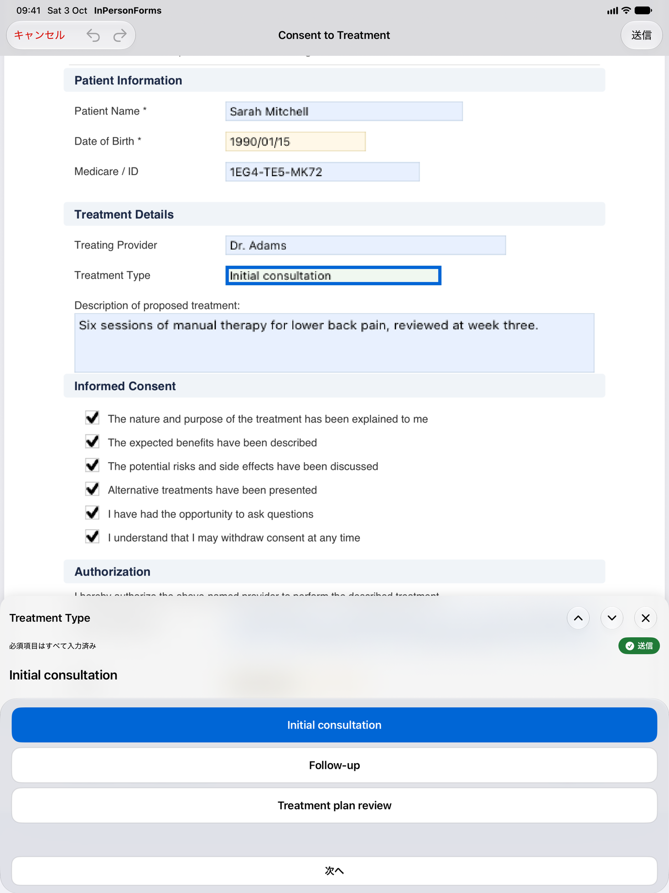 フォームの項目を順番に案内する InPersonForms の入力パネル
